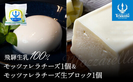 飛騨生乳100% モッツァレラ1個 & モッツァレラチーズ生ブロック1個セット | セット チーズ 冷蔵 濃厚 低温殺菌 乳製品 おいしい 人気 株式会社リアライン