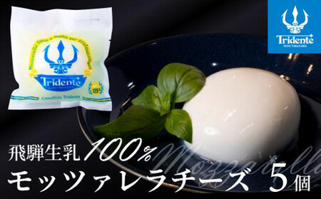 飛騨生乳100% モッツァレラチーズ5個 セット | セット チーズ 冷蔵 濃厚 低温殺菌 乳製品 おいしい 人気 株式会社リアライン