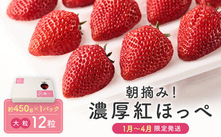 y嗱12zE! Zgق 450g×1pbNiʌ^s\^1?4j|  t[c 嗱  nEX͔| ˍR m BerryFarm KL002
