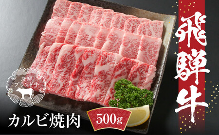 飛騨牛 カルビ焼肉 500g(1パック) 冷凍真空パック | 肉 お肉 焼肉 焼き肉 やきにく 黒毛和牛 和牛 人気 おすすめ 牛肉 ギフト お取り寄せ 飛騨高山ミート