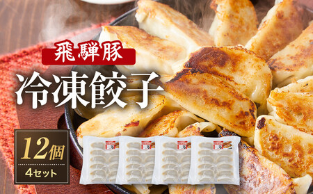 飛騨豚餃子12個入り×4セット(簡易包装) おいしい焼き方説明書付き NL005|高山市 餃子