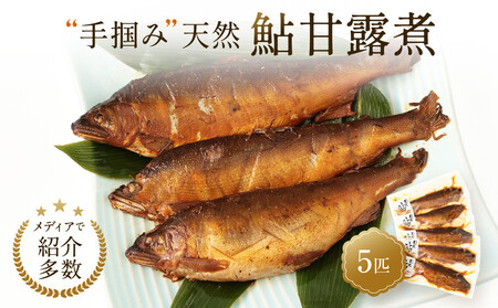 [個包装]秘伝のタレ使用!手掴み天然鮎甘露煮(5匹)| 化学調味料不使用 天然 魚 鮎 おいしい 食品 高山 有限会社井根鉄筋