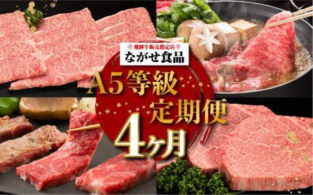 [定期便 10月開始]A5ランク 飛騨牛 贅沢 食べつくし定期便 4回 約1.8kg ( カルビ・もも / ロースすき焼き / 肩ロースしゃぶしゃぶ / シャトーブリアン) 肉 a5 食べ比べ 希少部位 高山 有限会社ながせ食品 FH100VC10