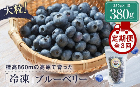[定期便]治助ファームの北部ハイブッシュブルーベリー「冷凍果実」380g×3回 | ブルーベリー