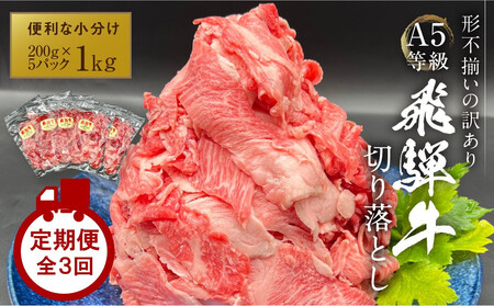 【定期便全3回】 A5等級 飛騨牛 切り落とし 1kg（200g×5パック）｜小分け 牛肉 飛騨牛 岩ト屋 HF115