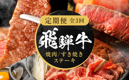 [定期便]全3回 飛騨牛 定番(ステーキ /焼肉 / すき焼き) | 肉 お肉 焼肉 焼き肉 やきにく ステーキ すき焼き 黒毛和牛 和牛 牛肉 お取り寄せ 飛騨高山ミート