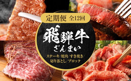 [定期便]全12回 飛騨牛 ざんまい(ステーキ/焼肉/すき焼き/切り落とし/ブロック) | 肉 お肉 黒毛和牛 和牛 個包装 小分け 牛肉 お取り寄せ 飛騨高山ミート