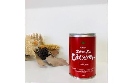 庄兵衛さん家のとまじゅうカレーセット トマトカレー 飛騨高山 飛騨トマト