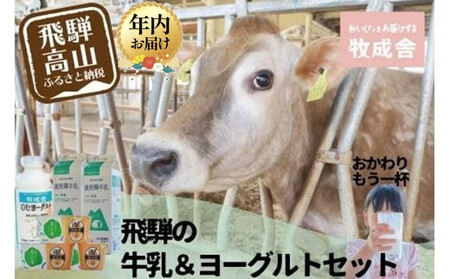 [12月配送][牧成舎]飛騨の牛乳屋のこだわり 牛乳&ヨーグルト 4種セット 