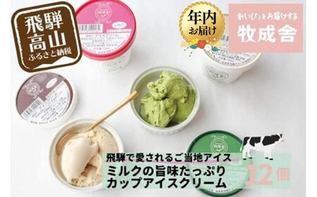 [12月配送][牧成舎] 飛騨の牛乳屋が作る ミルクの旨味たっぷり カップアイスクリーム 12個入り(バニラ/抹茶/いちご/ラムレーズン 各3個)