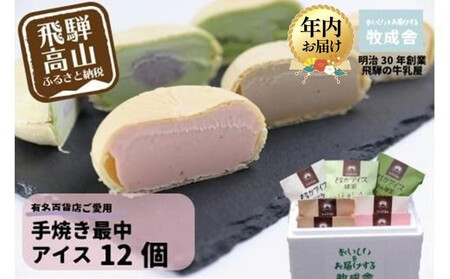 y12zzqɁ ˂̋ ~N̎|Ղ ĂŒACXN[ i12Zbgj | N fU[g q ACX lC   Mtg v[g o