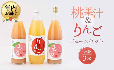 �y12���z���z��˓������v�X�� ����ʎ��� ���ʏ`����񂲃W���[�X�Z�b�g�i���v3�{�j| �N������ �� ���� ��� �ь� �����S 100���ʏ` �W���[�X �܂���ƃv���U BA001VC12