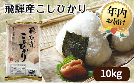 �y12���z���z�y�ߘa7�N�x�Y �V�āz��ˎY�����Ђ��� ���Ƃ����I�� 10kg | �N������ �������� �R�V�q�J�� ���_��͔| �� ���� ���� ���� ��ˍ��R �t�@�~���[�X�g�A���Ƃ� 21-542 CY028VC12