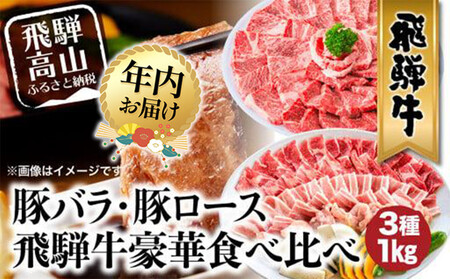 [12月配送]飛騨牛 & 飛騨豚 焼肉 セット 合計 1kg | 年内発送 肉 国産 牛 豚 29-950 ファミリーストアさとう CY030VC12