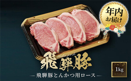 [12月配送]飛騨豚 とんかつ用 ロース 1kg(約10枚入り) | 年内発送 国産 豚 飛騨 高山 とんかつ 肉 食品 人気 おいしい たっぷり ファミリーストアさとう CY040VC12