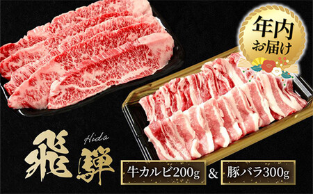 [12月配送]飛騨牛 カルビ200g & 飛騨豚 バラ300g | 年内発送 食べ比べ セット 焼肉 国産牛 豚肉 飛騨高山 人気 おいしい ファミリーストアさとう CY043VC12