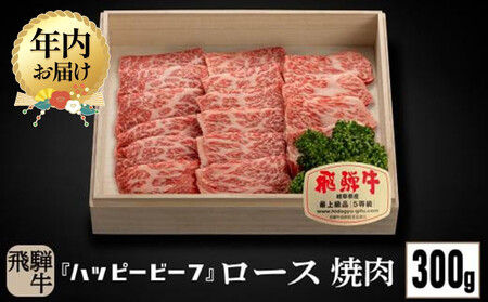 [12月配送]飛騨牛 A5等級 ロース 300g 年内発送 焼肉 飛騨牛 ブランド牛 A5ランク ハッピープラス 飛騨高山 JQ008VC12