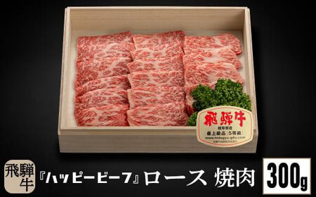 飛騨牛 A5等級 ロース 300g 焼肉 飛騨牛 ブランド牛 A5ランク ハッピープラス 飛騨高山 JQ008VC13