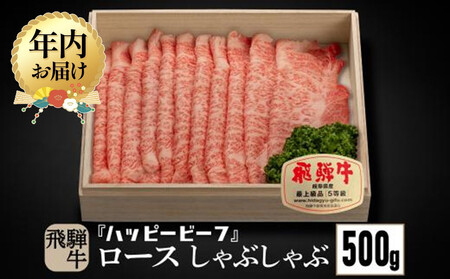 [12月配送]飛騨牛 A5等級 ロース 500g しゃぶしゃぶ 年内発送 飛騨牛 ブランド牛 A5ランク ハッピープラス 飛騨高山 JQ019VC12