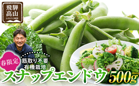 飛騨高山産 筋取り不要の有機栽培スナップエンドウ500g(春限定・5〜6月発送)|新鮮 春野菜 旬の味覚 えんどう 彩り野菜 山藏農園