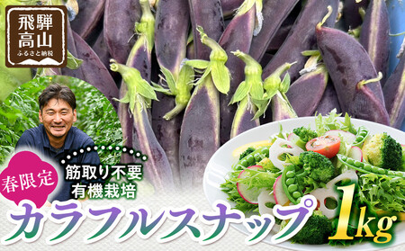 春の食卓を彩る 飛騨高山産 有機栽培スナップエンドウ 1kg(緑色・紫色の混合)(春限定・5〜6月発送)|新鮮 春野菜 旬の味覚 えんどう 彩り野菜 山藏農園