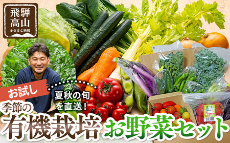 飛騨高山産 季節の有機栽培お野菜セット(お試し)お届け:6月〜10月|お試し 新鮮 有機野菜 旬野菜 地元野菜 やさい 農園 高山市 山藏農園