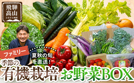 飛騨高山産 季節の有機栽培お野菜BOX(ファミリー)お届け:6月〜10月|ファミリー 新鮮 有機野菜 旬野菜 地元野菜 やさい 農園 高山市 山藏農園
