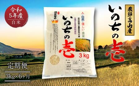 [定期便]令和5年産 飛騨高山産いのちの壱(白米)3kg×6ケ月 | 粒が大きい ブランド米 お米 ご飯 おいしい 人気 いのちの壱 飛騨高山 クオリティ飛騨高山