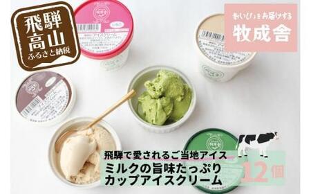 [牧成舎] 飛騨の牛乳屋が作る ミルクの旨味たっぷり カップアイスクリーム 12個入り(バニラ/抹茶/いちご/ラムレーズン 各3個)