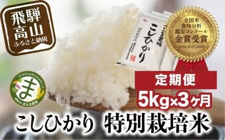 (全3回)[定期便 3ヶ月]飛騨こしひかり 5kg コシヒカリ 特別栽培米 岐阜県産 令和7年産 新米 | コシヒカリ 特別栽培米 飛騨高山 まんま農場
