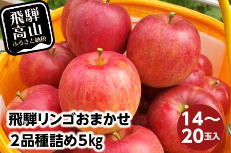 飛騨リンゴ 5kg 14-20玉入り おまかせ2品種 食べ比べ 果物 りんご フルーツ 飛騨高山 9月 10月 11月 季節もの ぜんぞう果樹園