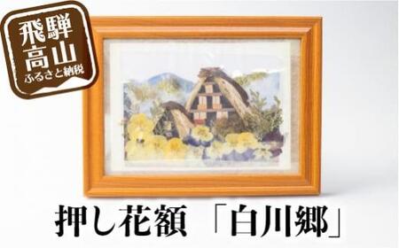 【数量限定】押し花額 飛騨の風景【白川郷】 押し花 花 フラワー    飾り  BB006