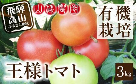 y2026N s\zi8{珇\jˍRY L@g}gulg}gv3kg | ʃg}g Ƃ܂ 팎 ꂨ  n ˍR RU_ JC011