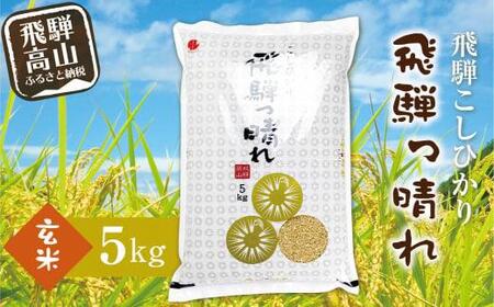 【数量限定】こしひかり飛騨っ晴れ 玄米 5kg 生産者直送 お米 コシヒカリ 飛騨産 飛騨高山 アグリランド  JF003