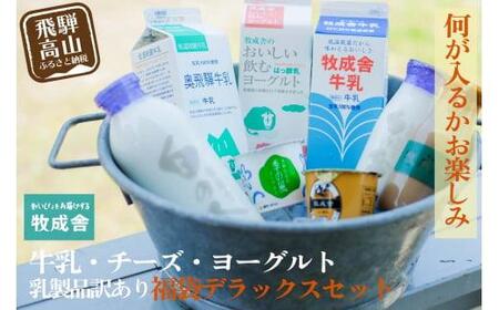 乳製品 福袋 デラックスセット 乳製品 ヨーグルト 牛乳 種類おまかせ セット 詰合せ  牧成舎 DF004