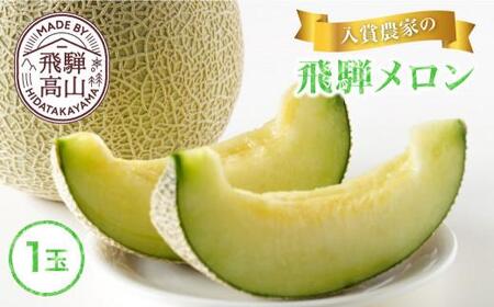 【数量限定】2026年先行予約 厳選！入賞飛騨メロン1玉 ≪8月頃より順次発送≫ | 飛騨高山産 めろん 上位入賞メロン 果物 くだもの フルーツ 期間限定 数量限定 飛騨高山 宿儺さま KA011