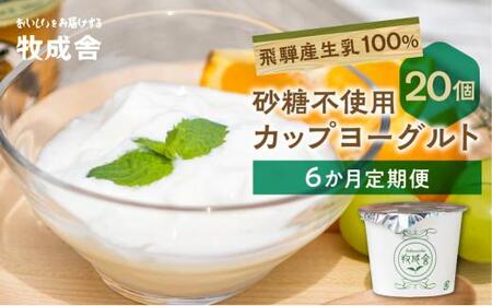 [6か月定期便]生乳100% 砂糖不使用 プレーンヨーグルト 20個 牧成舎 朝食におすすめ 無糖ヨーグルト プレーンヨーグルト 砂糖不使用 生乳ヨーグルト 乳製品