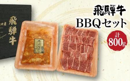 ˋ BBQZbg 800g i Jr 400g  ˎYatz 400g j| z o  ē a uh  ċ o[xL[ Lv ˍR ̒ JX002