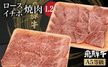 ˋ ē Hה i [X / C`{ j 1.2kgi600g×2j | A5  a uh ~  ċ o[xL[ Lv ˍR ̒ JX019