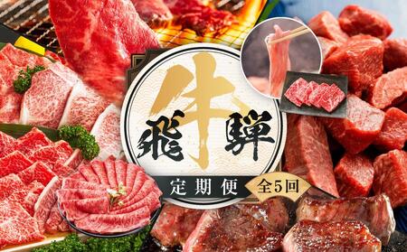 飛騨牛 定期便 全5回 約 2.2kg ( 300g 以上 × 5ヶ月 ) 牛肉 (すき焼き / ステーキ / しゃぶしゃぶ / 焼肉 ) | 肉 食べ比べ A5 岐阜 高山市 飛騨高山 岐阜県 人気 お楽しみ おすすめ