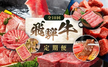 飛騨牛 定期便 全10回 牛肉 ( ステーキ / 焼肉 / しゃぶしゃぶ / すき焼き ) | 肉 食べ比べ A5 霜降り ロース もも サーロイン 岐阜 高山市 飛騨高山 岐阜県 人気 お楽しみ おすすめ TR4457