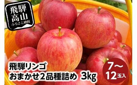 飛騨リンゴ 3kg 7-12玉入り おまかせ2品種 食べ比べ 果物 りんご フルーツ 9月 10月 11月 季節もの 飛騨高山 ぜんぞう果樹園