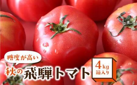 [9月頃〜順次発送]秋の濃い味 飛騨トマト 4kg | 大玉 トマト とまと 秋 野菜 期間限定 産地直送 野菜 飛騨高山 宿儺さま
