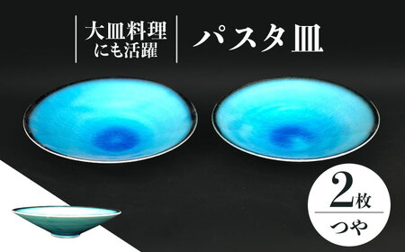 【美濃焼】 パスタ皿 2点 セット (つや有) 【東山窯】食器 深皿 [TDU016]