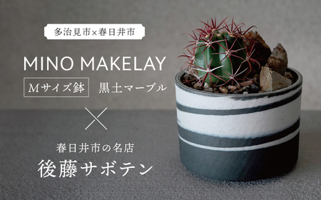 多治見市×春日井市コラボ[美濃焼] MINO MAKELAY Mサイズ 鉢 黒土マーブル × [日本有数のサボテンの生産地] 春日井市の名店 後藤サボテン [井澤コーポレーション]