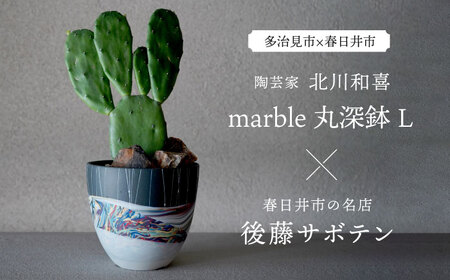 多治見市×春日井市コラボ [美濃焼] 陶芸家「北川和喜」 marble 丸深鉢 L × [日本有数のサボテンの生産地] 春日井市の名店 後藤サボテン [井澤コーポレーション]