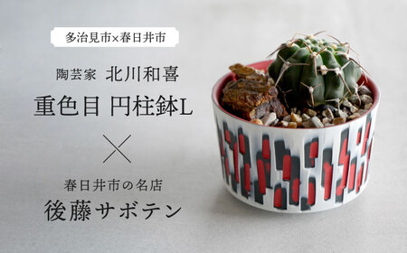 多治見市×春日井市コラボ [美濃焼] 陶芸家「北川和喜」 重色目 円柱鉢L × [日本有数のサボテンの生産地] 春日井市の名店 後藤サボテン [井澤コーポレーション]