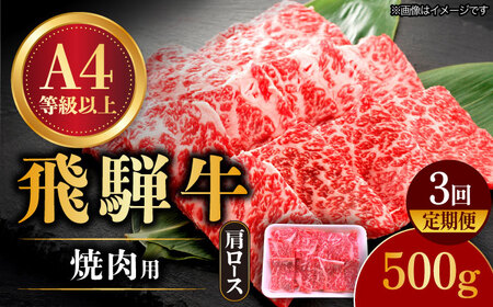 [3回定期便] 飛騨牛 焼肉用 ロース・肩ロース 500g A4等級以上 多治見市 / 渡辺精肉店 和牛 ブランド牛 牛肉