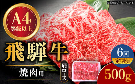[6回定期便] 飛騨牛 焼肉用 ロース・肩ロース 500g A4等級以上 [TAZ032]肩ロース 肩ロース 肩ロース 肩ロース 肩ロース