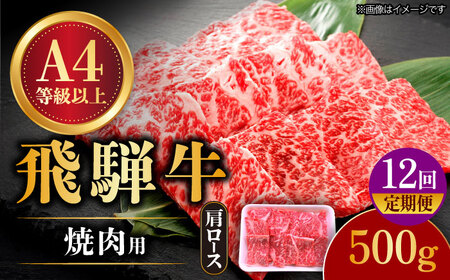 [12回定期便] 飛騨牛 焼肉用 ロース・肩ロース 500g A4等級以上 多治見市 [TAZ033] 飛騨牛 定期便 飛騨牛 定期便 飛騨牛 定期便 飛騨牛 定期便